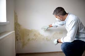 Mold Removal for HVAC Installations in Matteson, IL